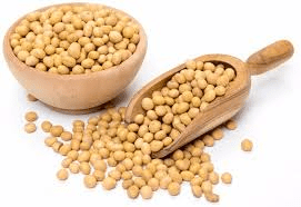 How to Process, Package, and Export Soybeans
