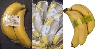 How to Process, Package, and Export Bananas and Plantains