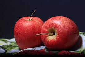 Wambugu Apples: Introduction and Farming Guide Wambugu Apples: Introduction and Farming Guide