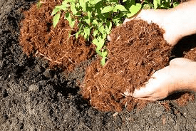 Organic Soil Amendments: Types, Benefits and Application Methods Organic Soil Amendments: Types, Benefits and Application Methods