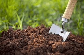 Organic Soil Amendments: Types, Benefits and Application Methods Organic Soil Amendments: Types, Benefits and Application Methods