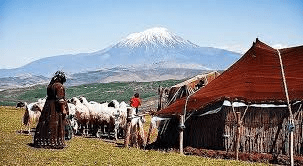 Best Systems of Cattle Production