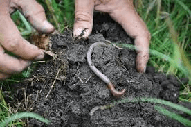 Practices that Increase the Amount of Soil Organic Matter Practices that Increase the Amount of Soil Organic Matter