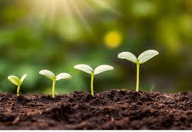Practices that Increase the Amount of Soil Organic Matter Practices that Increase the Amount of Soil Organic Matter