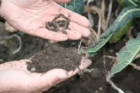 Practices that Increase the Amount of Soil Organic Matter Practices that Increase the Amount of Soil Organic Matter