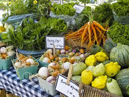 Organic Farming Market and Key Drivers of Organic Farming Market Expansion