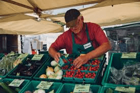 Organic Farming Market and Key Drivers of Organic Farming Market Expansion