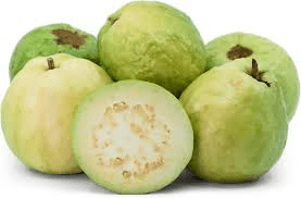 How to Process, Package, and Export Guavas How to Process, Package, and Export Guavas