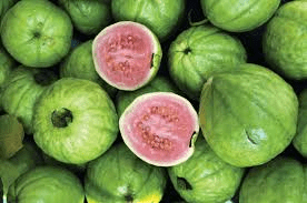 How to Process, Package, and Export Guavas How to Process, Package, and Export Guavas
