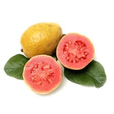 How to Process, Package, and Export Guavas How to Process, Package, and Export Guavas