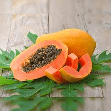 How to Process, Package, and Export Papayas (Pawpaw)