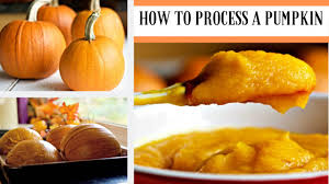 How to Process, Package, and Export Pumpkins How to Process, Package, and Export Pumpkins
