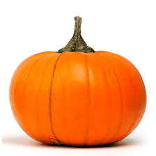 How to Process, Package, and Export Pumpkins How to Process, Package, and Export Pumpkins