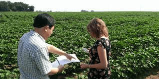 Online Masters in Agricultural Economics