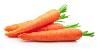 How to Process, Package, and Export Carrots