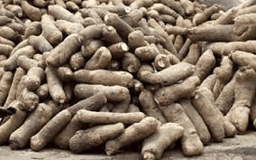 How to Process, Package, and Export Yams How to Process, Package, and Export Yams