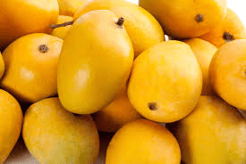 How to Process, Package, and Export Mangoes