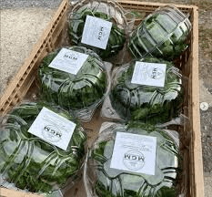 How to Process, Package, and Export Lettuce How to Process, Package, and Export Lettuce
