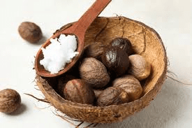 How to Process, Package, and Export Shea Nuts How to Process, Package, and Export Shea Nuts