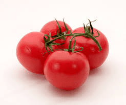 How to Process, Package, and Export Tomatoes