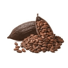 How to Process, Package, and Export Cocoa Beans