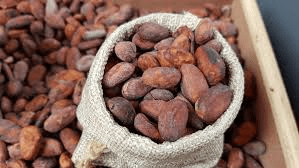 How to Process, Package, and Export Cocoa Beans How to Process, Package, and Export Cocoa Beans