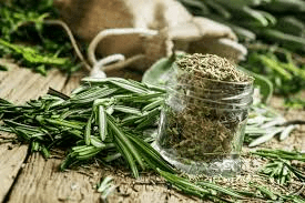 How to Process, Package, and Export Rosemary How to Process, Package, and Export Rosemary