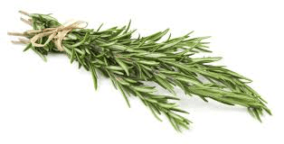 How to Process, Package, and Export Rosemary How to Process, Package, and Export Rosemary