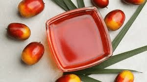 How to Process, Package, and Export Palm Oil How to Process, Package, and Export Palm Oil