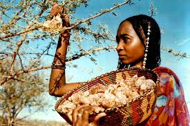 How to Process, Package, and Export Gum Arabic How to Process, Package, and Export Gum Arabic