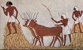 Origins of agriculture, tracing it back to the Neolithic Revolution and highlighting its impact on human civilization.