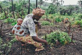 Subsistence Farming Guide: Growing food primarily for the farmer's family