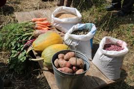 Subsistence Farming Guide: Growing food primarily for the farmer's family