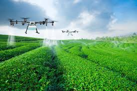 Precision Agriculture Guide: Utilizing technology for data-driven decision-making to optimize resource use Precision Agriculture Guide: Utilizing technology for data-driven decision-making to optimize resource use