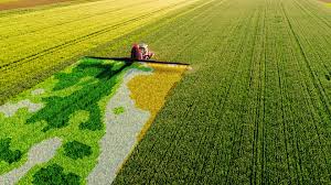 Precision Agriculture Guide: Utilizing technology for data-driven decision-making to optimize resource use Precision Agriculture Guide: Utilizing technology for data-driven decision-making to optimize resource use