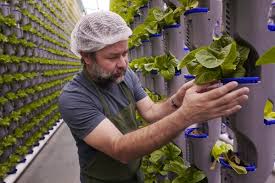 Vertical Farming Guide: Growing Crops In Vertically Stacked Layers Indoors