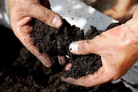 Land Preparation Guide: Tilling, managing soil fertility, weed control