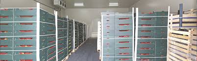 Agricultural Storage Methods: Different storage methods for agricultural products Agricultural Storage Methods: Different storage methods for agricultural products