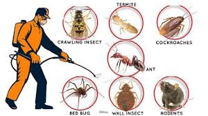 Chemical Control Methods of Pests and Diseases Chemical Control Methods of Pests and Diseases