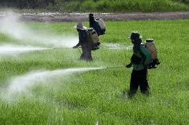Chemical Control Methods of Pests and Diseases Chemical Control Methods of Pests and Diseases