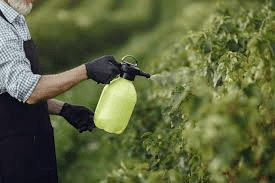 Chemical Control Methods of Pests and Diseases Chemical Control Methods of Pests and Diseases