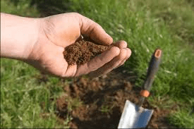 Cultural Control Methods of Pests and Diseases Cultural Control Methods of Pests and Diseases