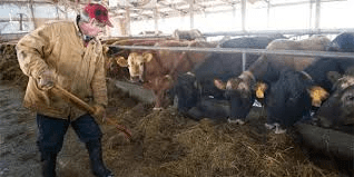 Understanding Biosecurity In Agriculture Understanding Biosecurity In Agriculture