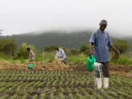 All You Need To Know About Sustainable Practices In Agriculture Sustainable Practices In Agriculture