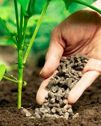 Fertilizers: What Is In Fertilizers, Types, Uses and Application Fertilizers: What Is In Fertilizers, Types, Uses and Application