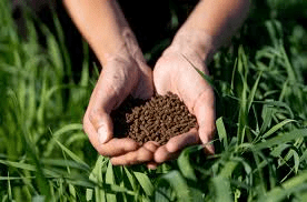 Fertilizers: What Is In Fertilizers, Types, Uses and Application Fertilizers: What Is In Fertilizers, Types, Uses and Application