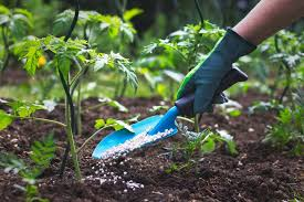 Fertilizers: What Is In Fertilizers, Types, Uses and Application Fertilizers: What Is In Fertilizers, Types, Uses and Application