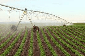 Types of Irrigation Methods