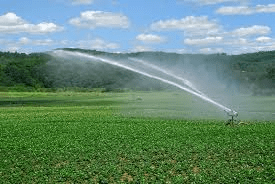 Irrigation Methods