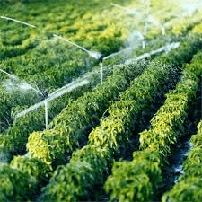 Irrigation Methods